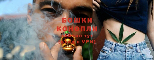 spice Абаза